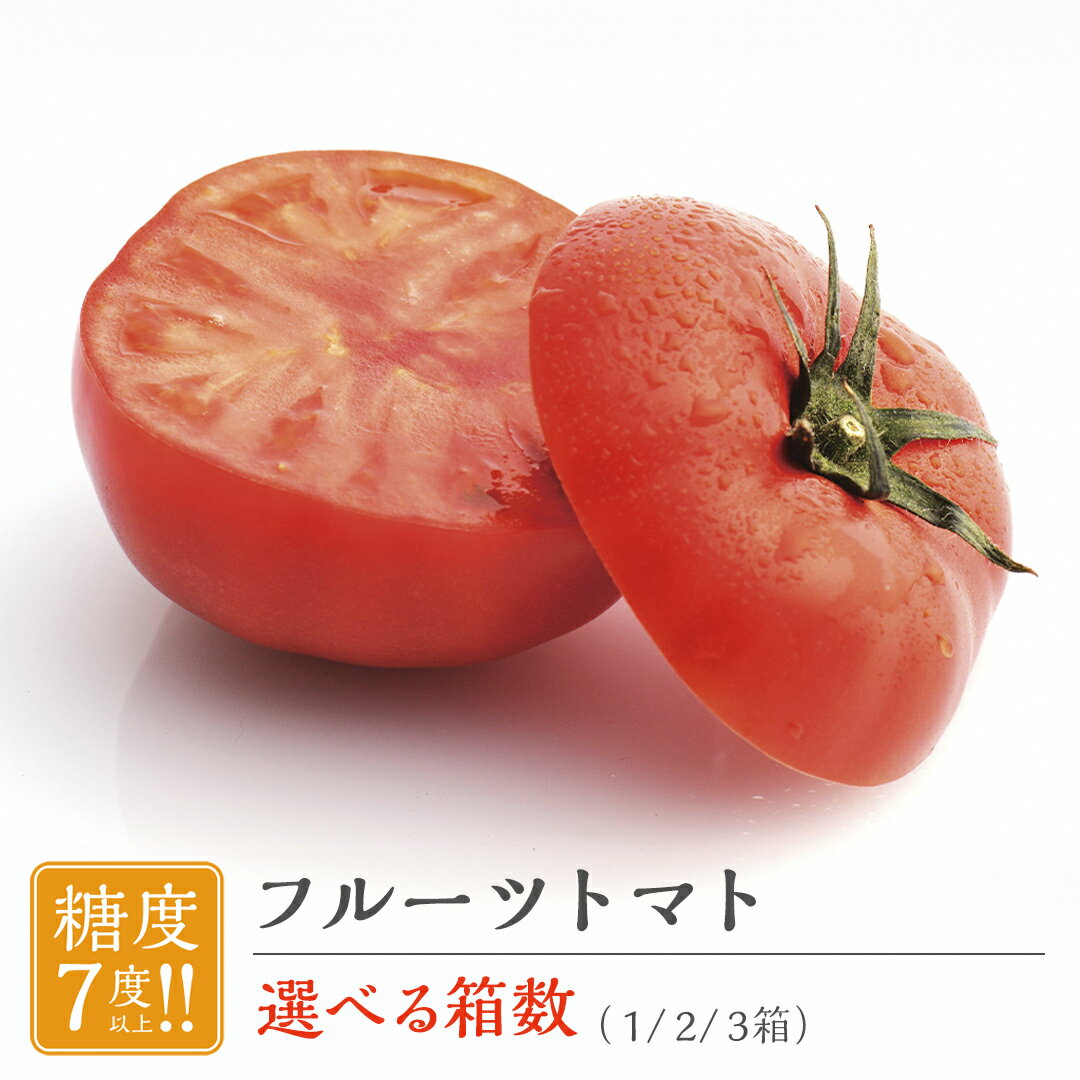 【ふるさと納税】フルーツトマト 大箱 約2.6kg ( 選べる 内容量 ) 【大玉 20〜35玉/1箱】 2026年産 糖度7度 以上 野菜 フルーツ トマト とまと