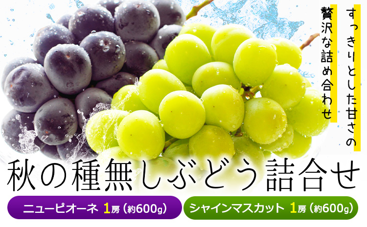 【2026年先行予約】秋の種無しぶどう詰合せ ニューピオーネ シャインマスカット 1房約600g 環山堂株式会社《2026年9月上旬-10月上旬頃出荷》岡山県 浅口市 ニューピオーネ シャインマスカット ぶどう マスカット果物 フルーツ 送料無料