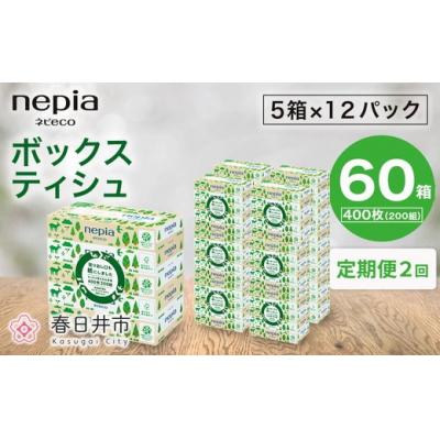 ふるさと納税 春日井市 【定期便】2回発送(3か月おきに)ネピア ネピecoティシュ200組　5箱×12パック