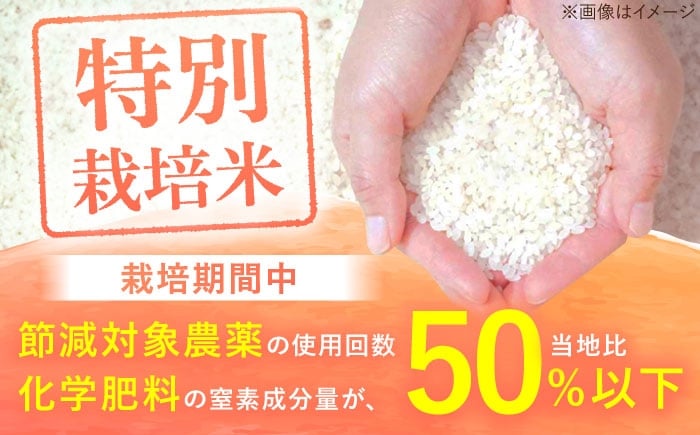 お米 米 おこめ こめ コメ 白米 精米 白ご飯 さがびより 佐賀県産 佐賀県産米