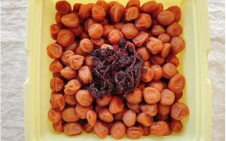 紀州小梅　華（塩分10％）　4kg(2kg×2個） / 田辺市 紀州南高梅 南高梅 梅干し 梅干 梅  肉厚 お米 おにぎり 焼酎 梅酒 健康 小梅 【ske048-2】