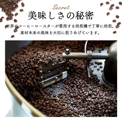 ふるさと納税 和泉市 コーヒー豆　自家焙煎　キリマンジャロタンザニア 1kg(200g×5袋)【豆のまま】中煎り　辻本珈琲 |  | 02