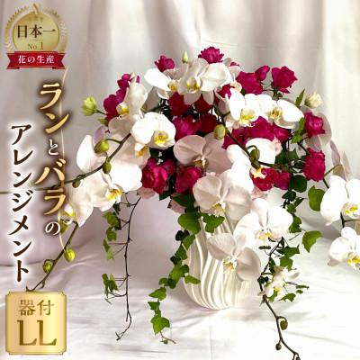 ふるさと納税 田原市 器に盛ったランとバラのアレンジ LL　ギフト・プレゼントに最適 愛知県田原市