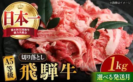【10月発送】【飛騨牛】 切り落とし 1kg 和牛 ブランド牛 国産 牛肉 多治見市 / 渡辺精肉店 [TAZ005-10]