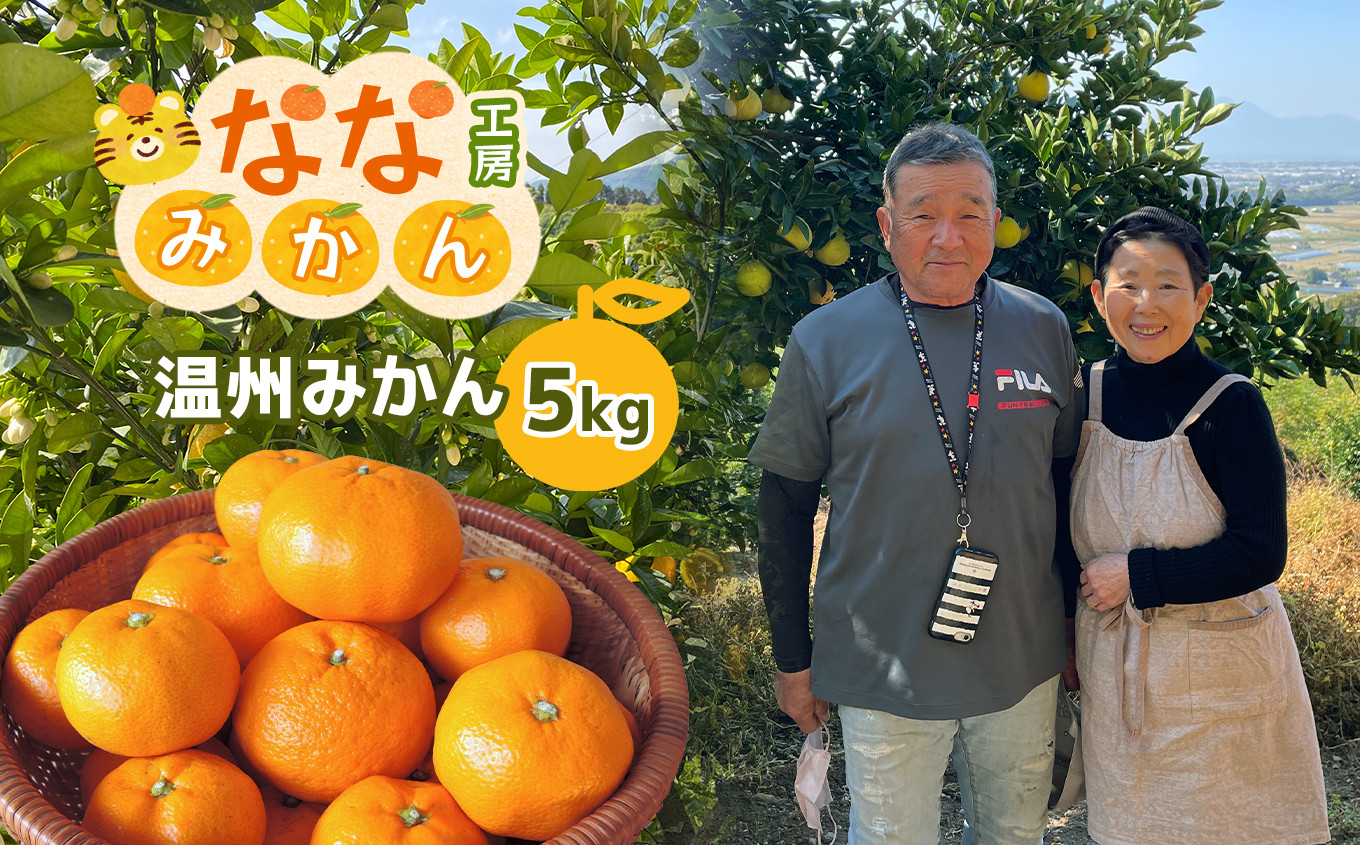 
温州みかん 約5kg
