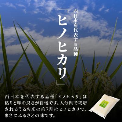 ふるさと納税 大分市 大分ヒノヒカリ 3kg_B01010 |  | 01
