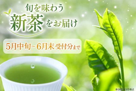 茶 緑茶 新茶 そのぎ茶 (極上) 100g 3袋入り 総計300g