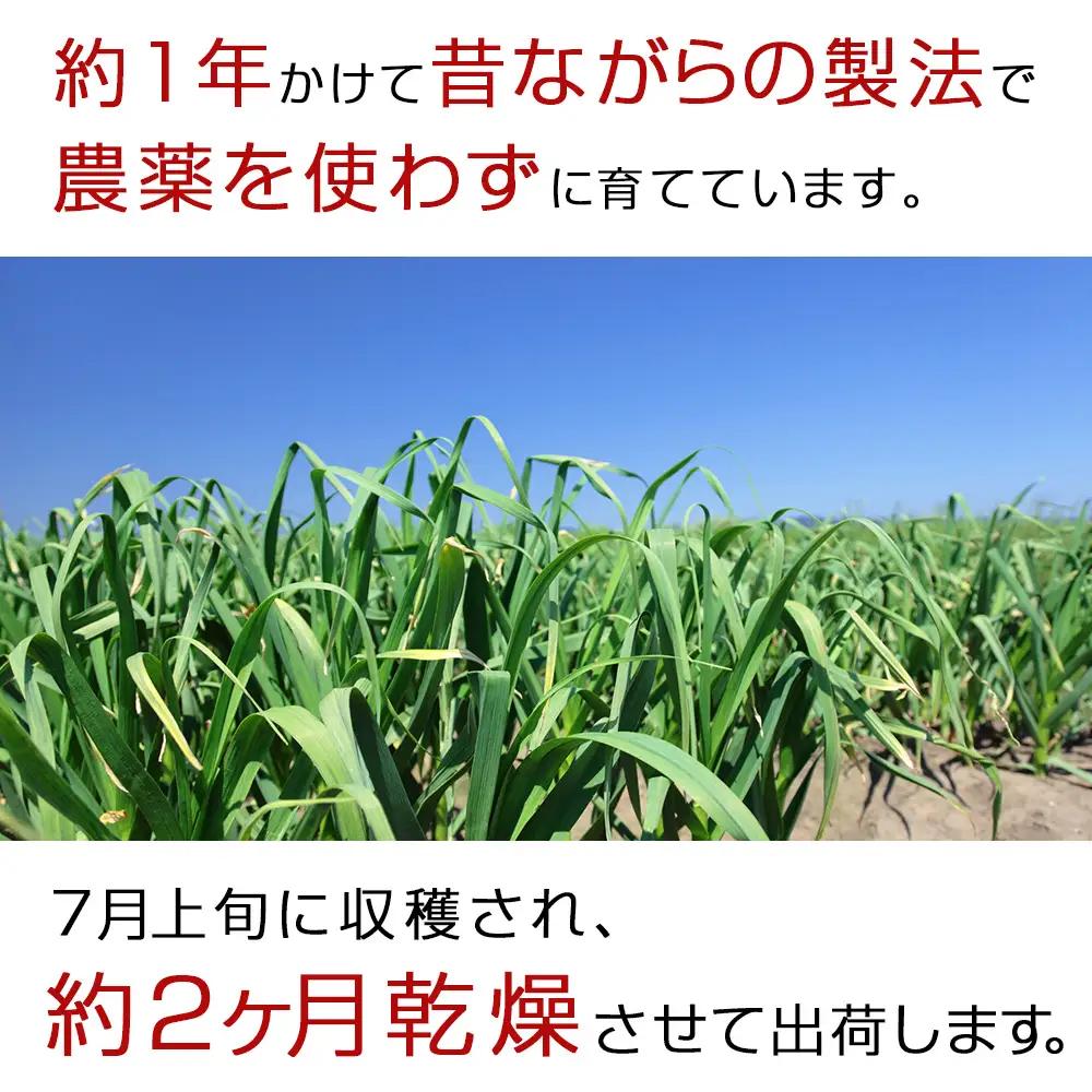 【数量限定】予約販売　無農薬ニンニク5kg（500g×10袋）無農薬 にんにくガーリック