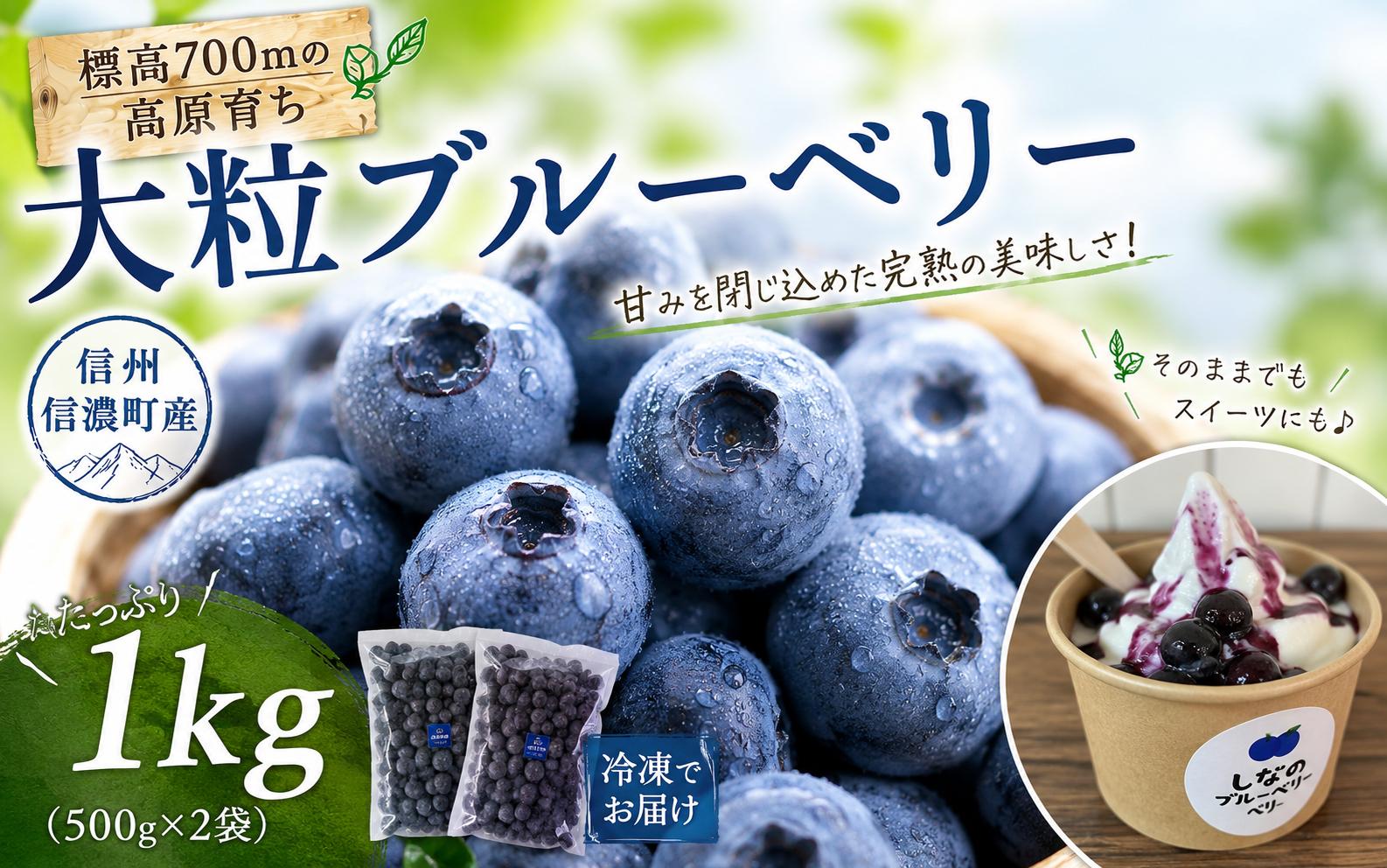 
                  【農園直送】大粒 冷凍ブルーベリー 500g×2袋 長野県信濃町 ハイブッシュ系【長野県 信州 信濃町 ふるさと納税／しなのブルーベリー農園】
                