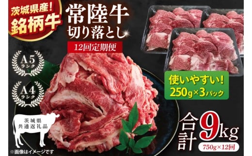 【茨城県共通返礼品】【12ヶ月定期便】常陸牛切り落とし 750g（250g×3）【黒毛和牛 国産 銘柄牛 牛肉 肉 冷凍 茨城県産】(81-29)