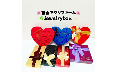 ぶどう 2026年 シャインマスカット 18粒 化粧箱 18粒  大粒厳選秀品 ギフト 贈答用 贈り物 農林大臣賞2回受賞 採りたて発送 農家直送 数量限定 新鮮    岡山 果物 フルーツ 化粧箱 