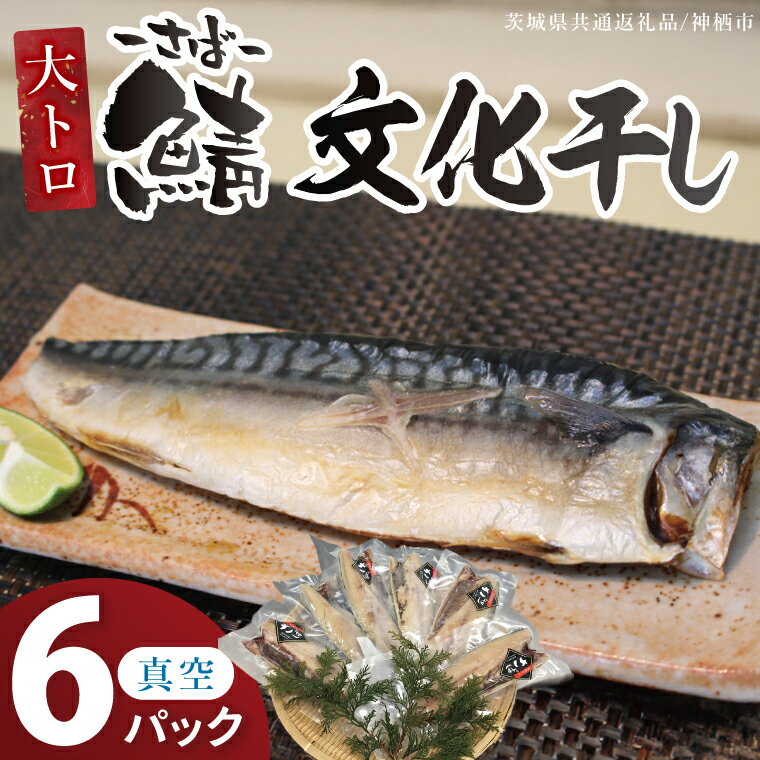 【ふるさと納税】大トロさば文化干し　6パック【茨城県共通返礼品：神栖市】|鯖 サバ 干物 一夜干し 惣菜 おつまみ 冷凍 小分け 個包装 茨城県 取手市（BZ001）