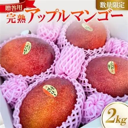 【2026年6月中旬から順次発送】贈答用のアップルマンゴー2kg【配送不可地域：離島】【1601772】