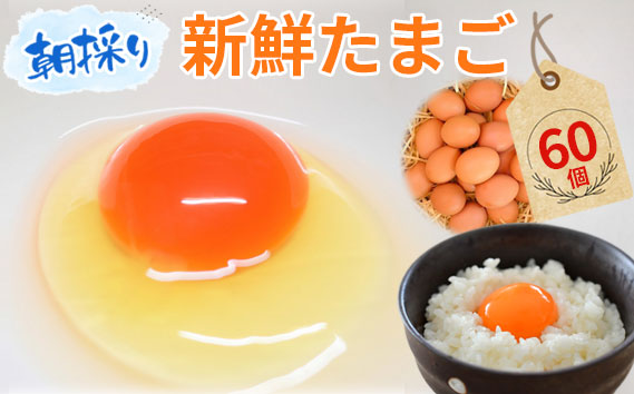 【60個】美味しい産みたて朝採り新鮮たまご(手集卵)ミネラルエッグ