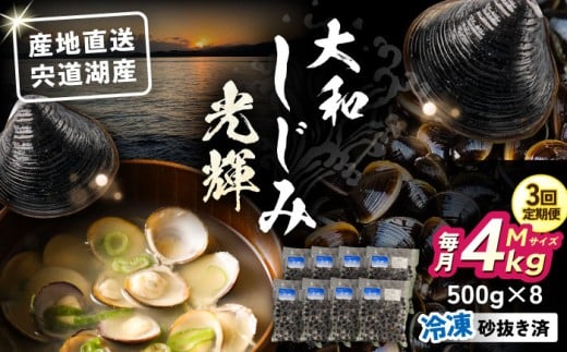 【全3回定期便】産地直送！宍道湖産 冷凍大和しじみMサイズ4kg(500g×8) 砂抜き処理済 島根県松江市/りすたむMatsue [ALDE013]