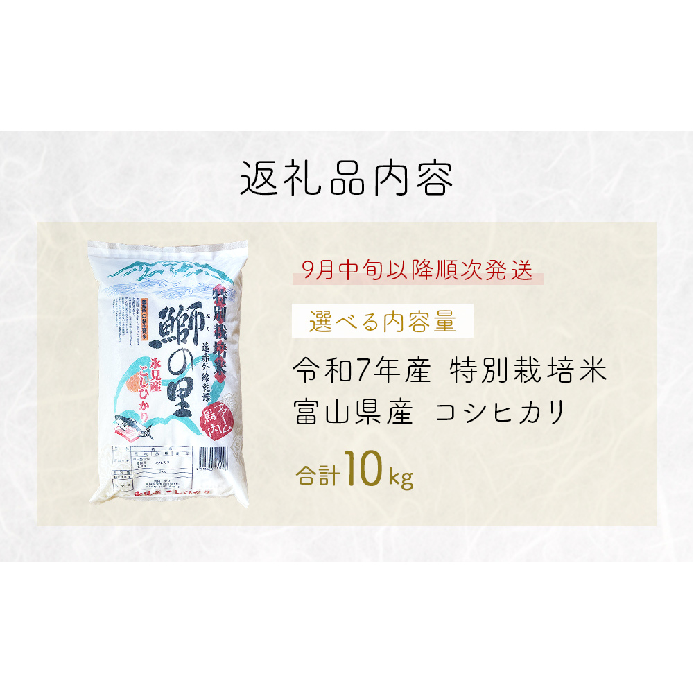【先行受付】令和7年産 特別栽培米 富山県産コシヒカリ 10kg ＜2025年9月中旬以降順次発送＞ 鰤の里 白米 精米 こしひかり 富山県 氷見市_イメージ4