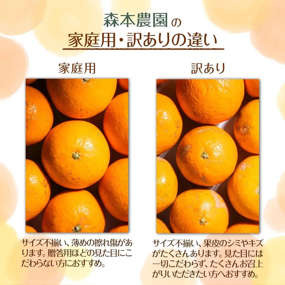 訳あり 森本農園の手選別 小粒みかん 約2kg 和歌山県産 2S・3Sサイズ混合 ［北海道・沖縄・離島配送不可］［2026年11月上旬から順次発送］［RN64］