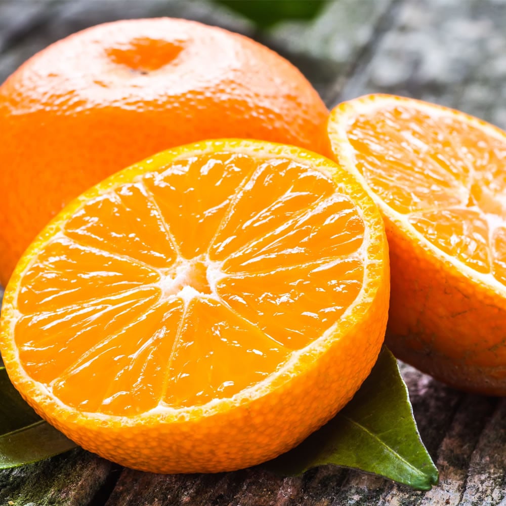 
                  訳ありみかん 約5kg みかん 蜜柑 果物 くだもの フルーツ 【2026年3月上旬まで順次発送予定】
                