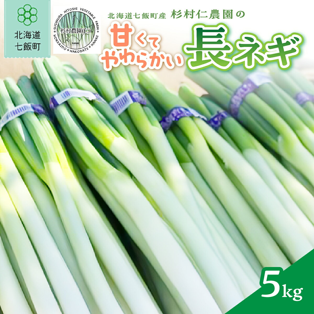 【ふるさと納税】【先行予約 令和8年8月発送】北海道産 長ネギ 5kg 甘くてやわらかい とろける食感 産地直送 農家直送 杉村仁農園 北海道 七飯町