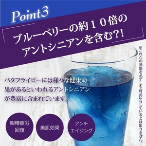 守山乳業 MORIYAMA バタフライピーティー 1000g × 6本 【 お茶 ハーブ ハーブティー おいしい ギフト プレゼント まとめ買い 神奈川県 南足柄市 】