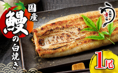 国産鰻の白焼き 1尾 うなぎ ウナギ 鰻 うなぎ うなぎ うなぎ 
