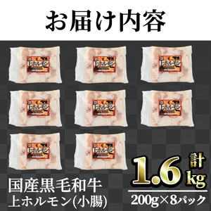 【鮮度抜群！】国産黒毛和牛小腸（上ホルモン計1.6kg） ホルモン 焼肉 黒毛和牛【カミチク】A828