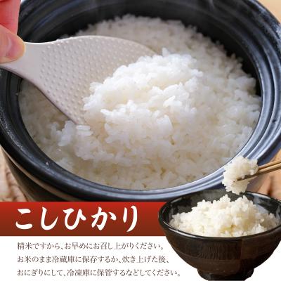ふるさと納税 下関市 【先行予約】 令和8年産 こしひかり 5kg 山口県 下関市産 MD002 |  | 03