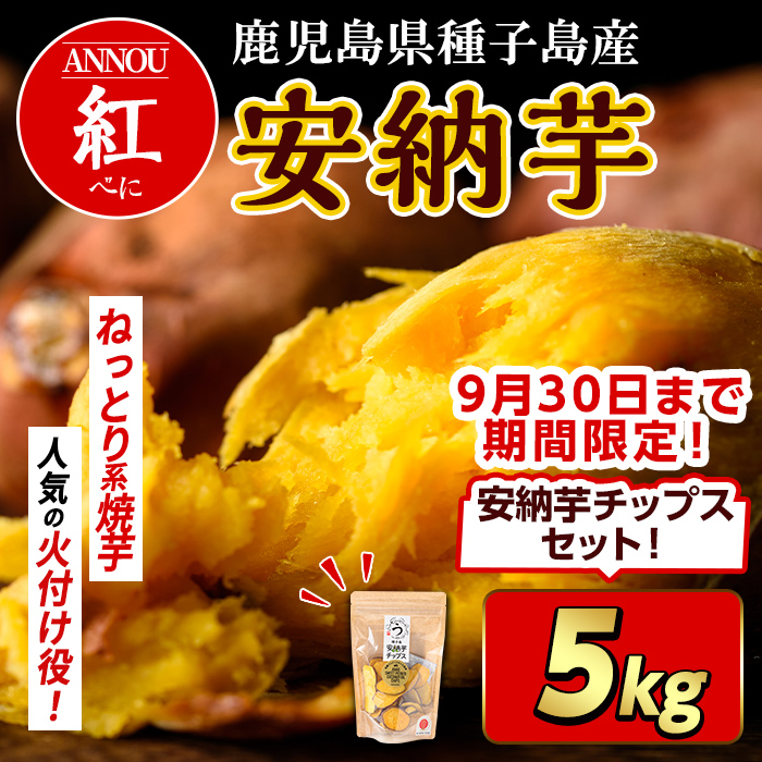 n175 ＜期間・数量限定セット！先行予約受付中！2025年10月下旬頃から12月中の発送予定＞種子島産 安納芋＜紅＞(5kg)＆安納芋チップス1袋セット 国産 安納芋 紅 種子島 芋 イモ いも さつまいも さつま芋 安納いも 野菜 【うずえ屋】