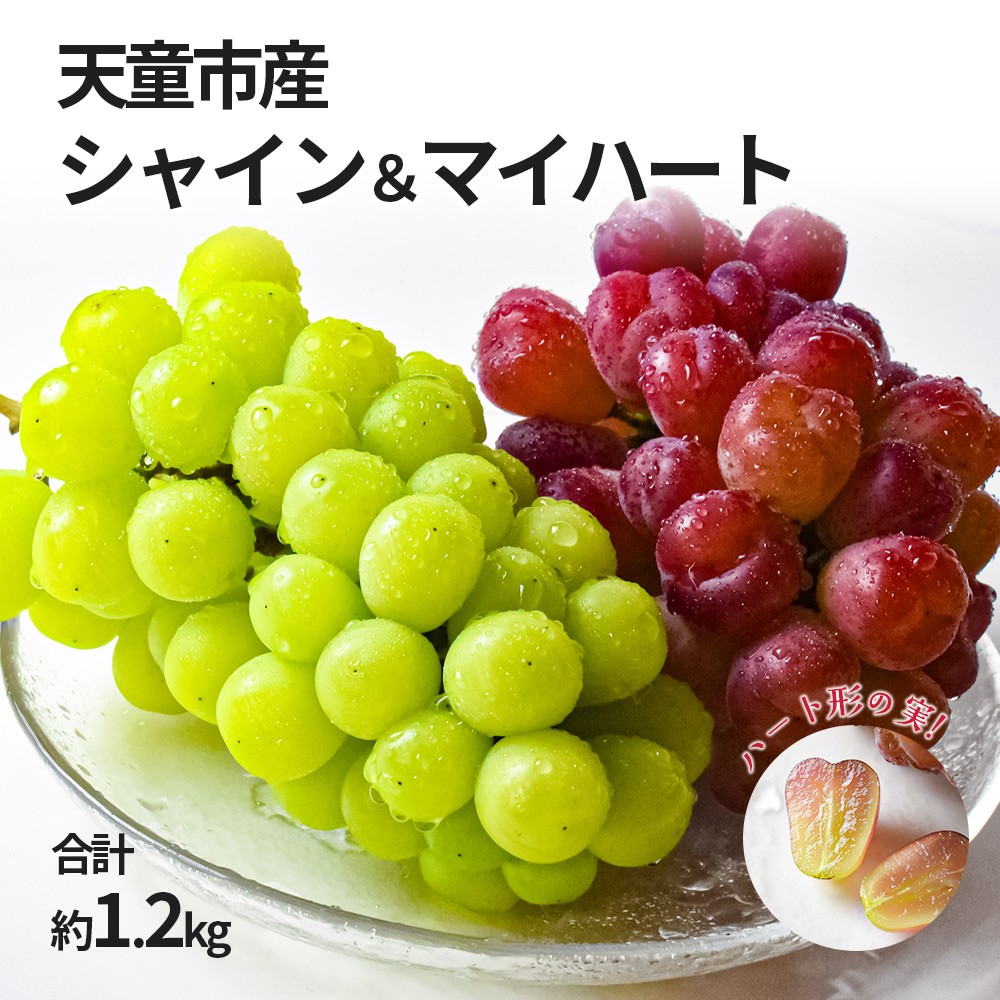 
                  08-10-053　ぶどう シャインマスカット＆マイハート約1.2kg (各500g～600g)
                