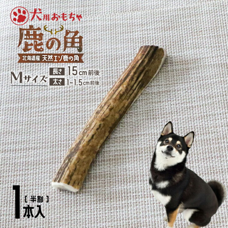 【ふるさと納税】犬用「鹿の角(半割り)」Mサイズ×1本[53-1351] 北海道 浦河 ふるさと納税 鹿の角 鹿 犬用 ワンちゃん おもちゃ 玩具 デンタルケア 送料無料