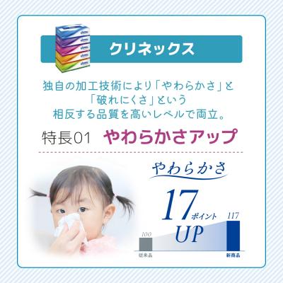 ふるさと納税 岩沼市 ティッシュ クリネックス ティシュー 5箱入×4P ティッシュペーパー [No.5704-1035] |  | 02