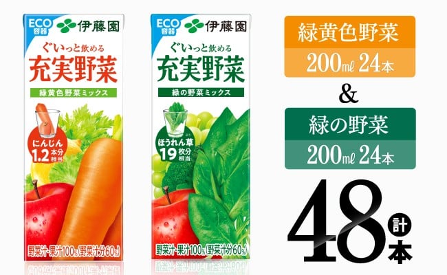 
            緑黄色野菜＆緑の野菜（紙パック）48本 【伊藤園 飲料類 野菜 ミックス 緑の野菜 ジュース セット 詰め合わせ 飲みもの】
          