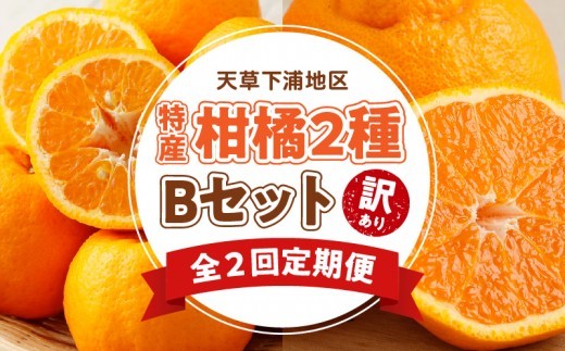 
                  S040-T06A_【定期便2回】天草　下浦特産の柑橘2種Ｂセット（訳あり）
                