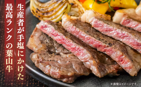 【葉山牛】1kg　サーロインステーキ／ 牛肉 サーロイン 黒毛和牛 ステーキ【葉山牛ステーキレストラン 角車】[ASBD018]