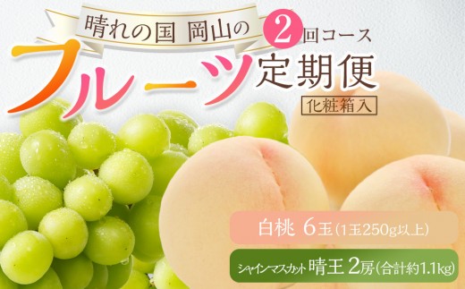
                  フルーツ 2027年 晴れの国 岡山 の フルーツ 定期便 2回コース 桃 ぶどう 岡山県産 国産 フルーツ 果物 ギフト
                