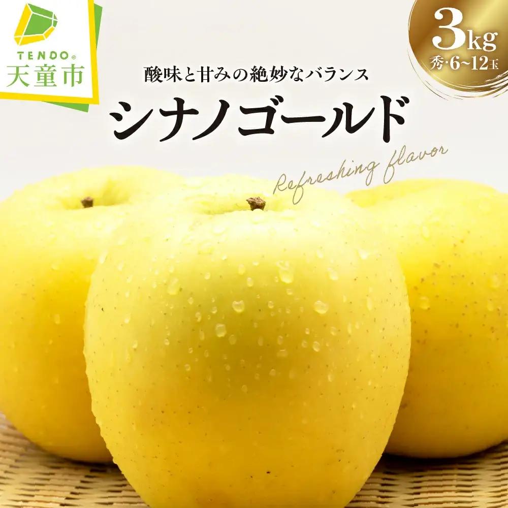 シナノゴールド 3kg りんご 山形 シナノゴールド