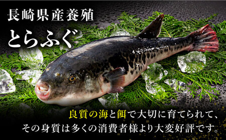 2024年12月31日大晦日にお届け 長崎県産 とらふぐ 刺身 5〜6人前 アラ付き  / ふぐ フグ 河豚 トラフグ ふぐ刺し 冷蔵 着日指定 年内配送 / 南島原市 / 大和庵[SCJ027] /