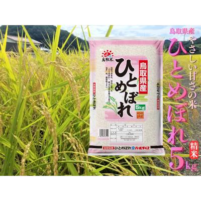 ふるさと納税 湯梨浜町 鳥取県産ひとめぼれ◇精米5kg◇令和7年産(225M.)