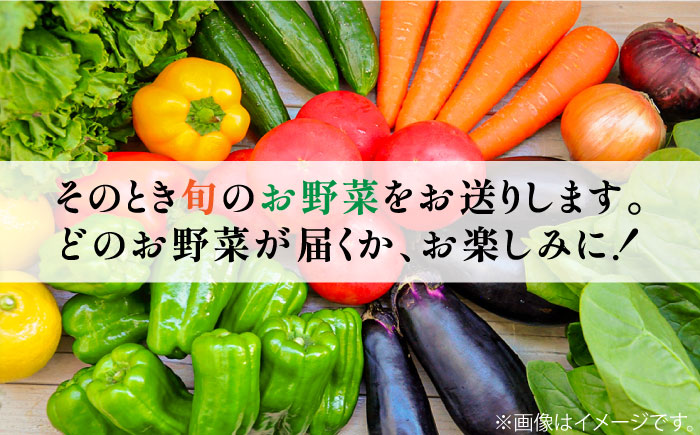 【6回定期便】地元の農家さんが収穫した旬のお野菜 詰め合わせセット 地元の農家さんが収穫した旬のお野菜 詰め合わせセット 野菜定期便 野菜詰め合わせ  / 南島原市 /  ミナサポ [SCW046]