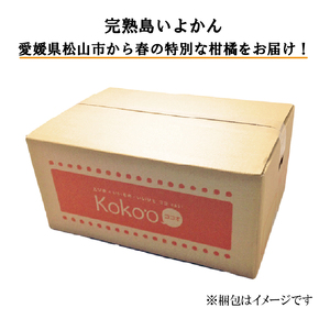 【2027年2月下旬頃から順次発送】 完熟島いよかん (秀品) 約5kg | いよかん 伊予柑 みかん 【KK3222】