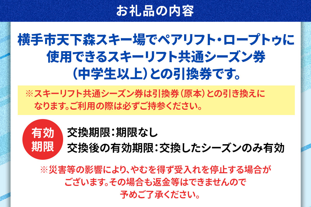 横手市天下森スキー場 スキーリフト共通シーズン券（一般）引換券 ゆうパケット