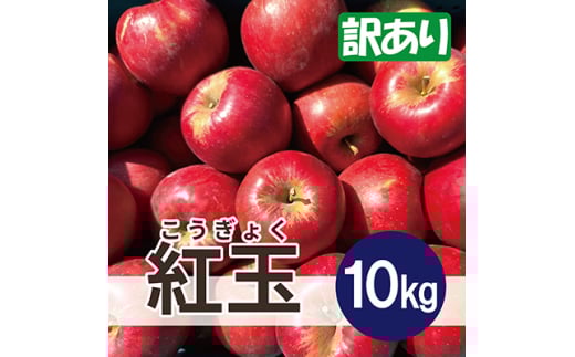 ＜26年2月出荷予定＞ 紅玉 約10kg 訳あり【1612090】