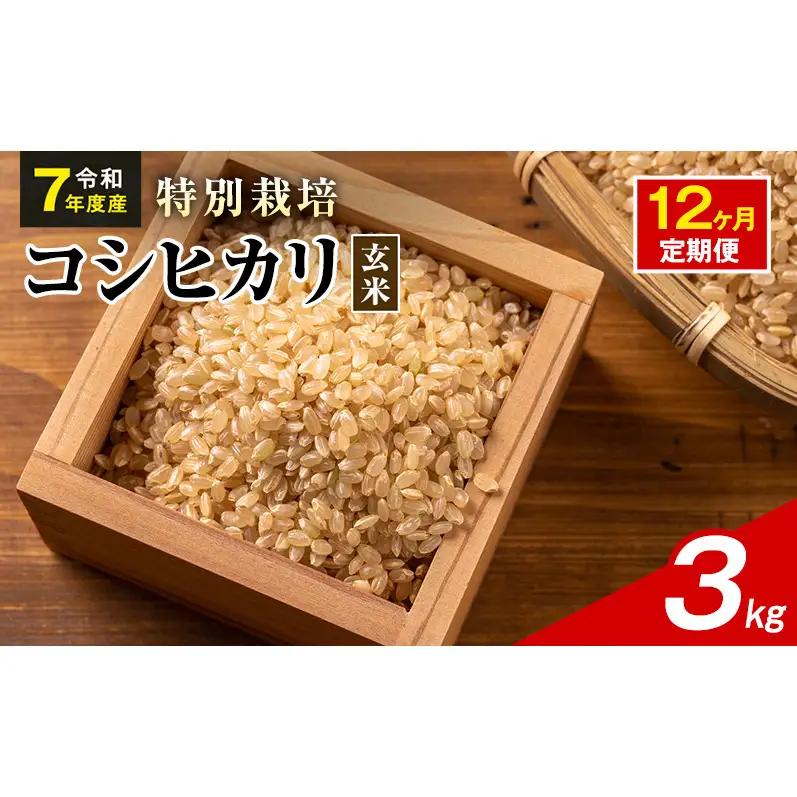令和7年産 特別栽培米 コシヒカリ 玄米 3kg 静岡県産 色彩選別済 食に意識高い方へオススメ 12ヶ月定期便