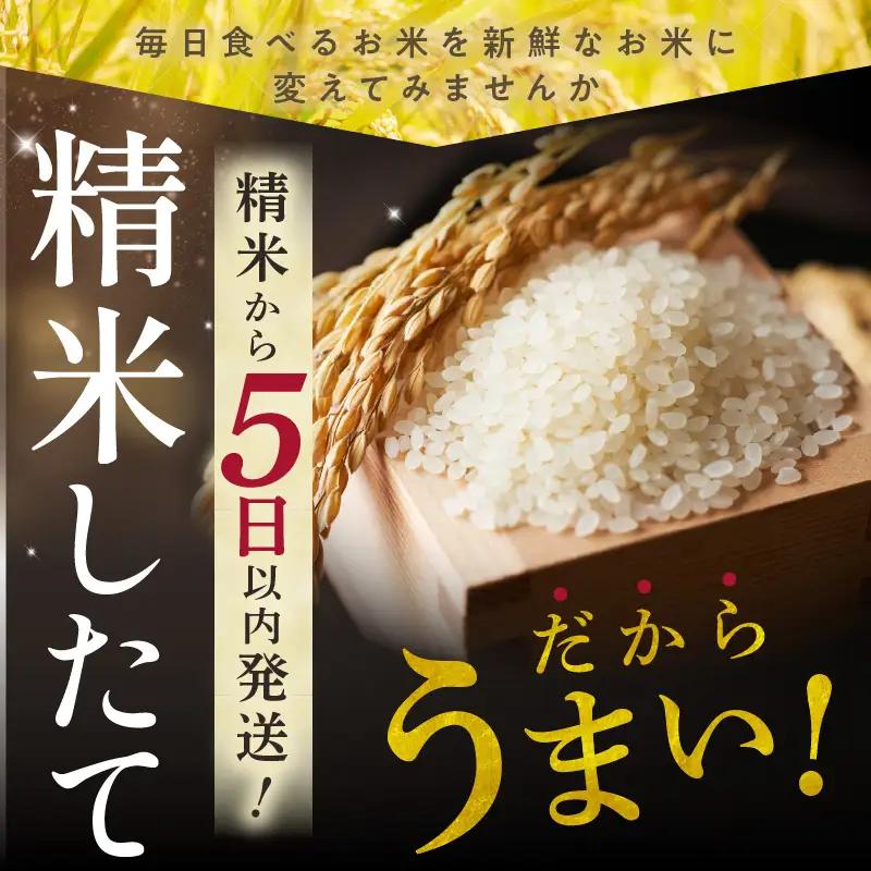 北海道産 ゆめぴりか 5kg【お米 精米 白米 新米 お米 お弁当 北海道産 ゆめぴりか 5kg お米5kg 白米5kg 北海道産米 道産米 米】_S036-0035