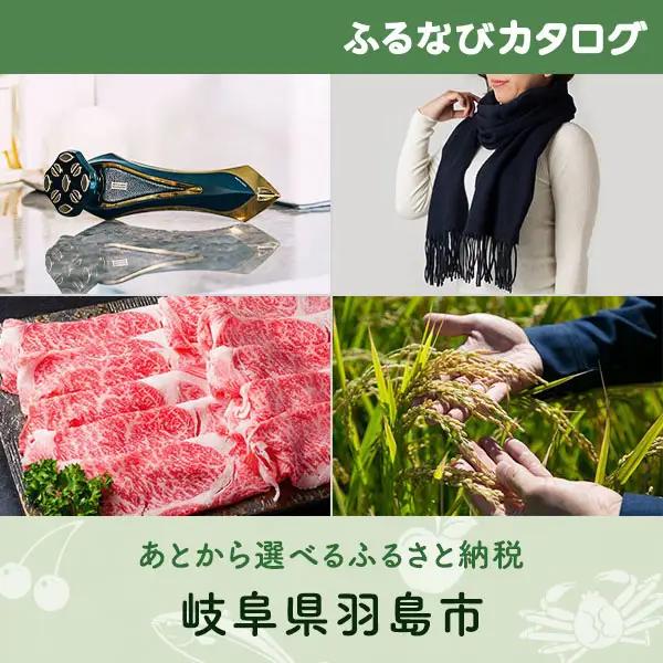 【有効期限なし！後からゆっくり特産品を選べる】岐阜県羽島市カタログポイント