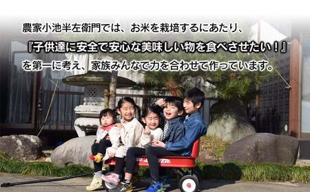 数量限定 【令和7年産】 山形県庄内産 小池半左衛門のお米 特別栽培米 つや姫 無洗米 10kg (5kg×2袋)