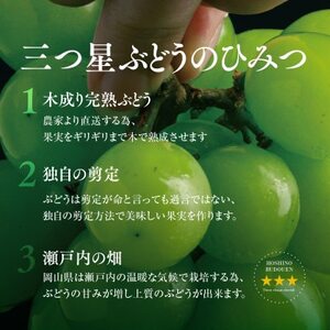 【先行受付】星乃シャインマスカット 数量限定 (岡山県産) 2房(1.3kg以上)【配送不可地域：離島・北海道・沖縄県】【1418979】