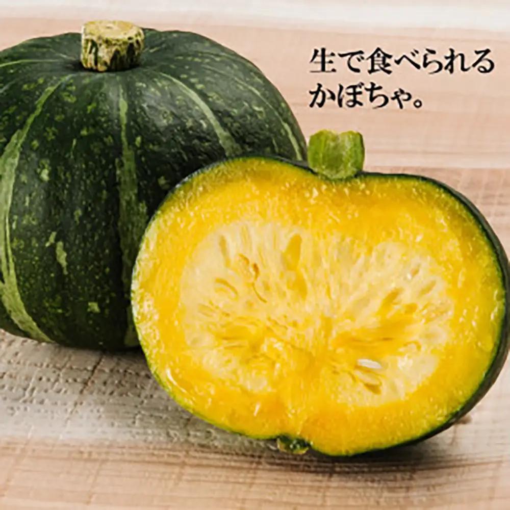 季節のおすすめ野菜おまかせ詰め合わせBOX 8種～12種類 大容量サイズ【16102】