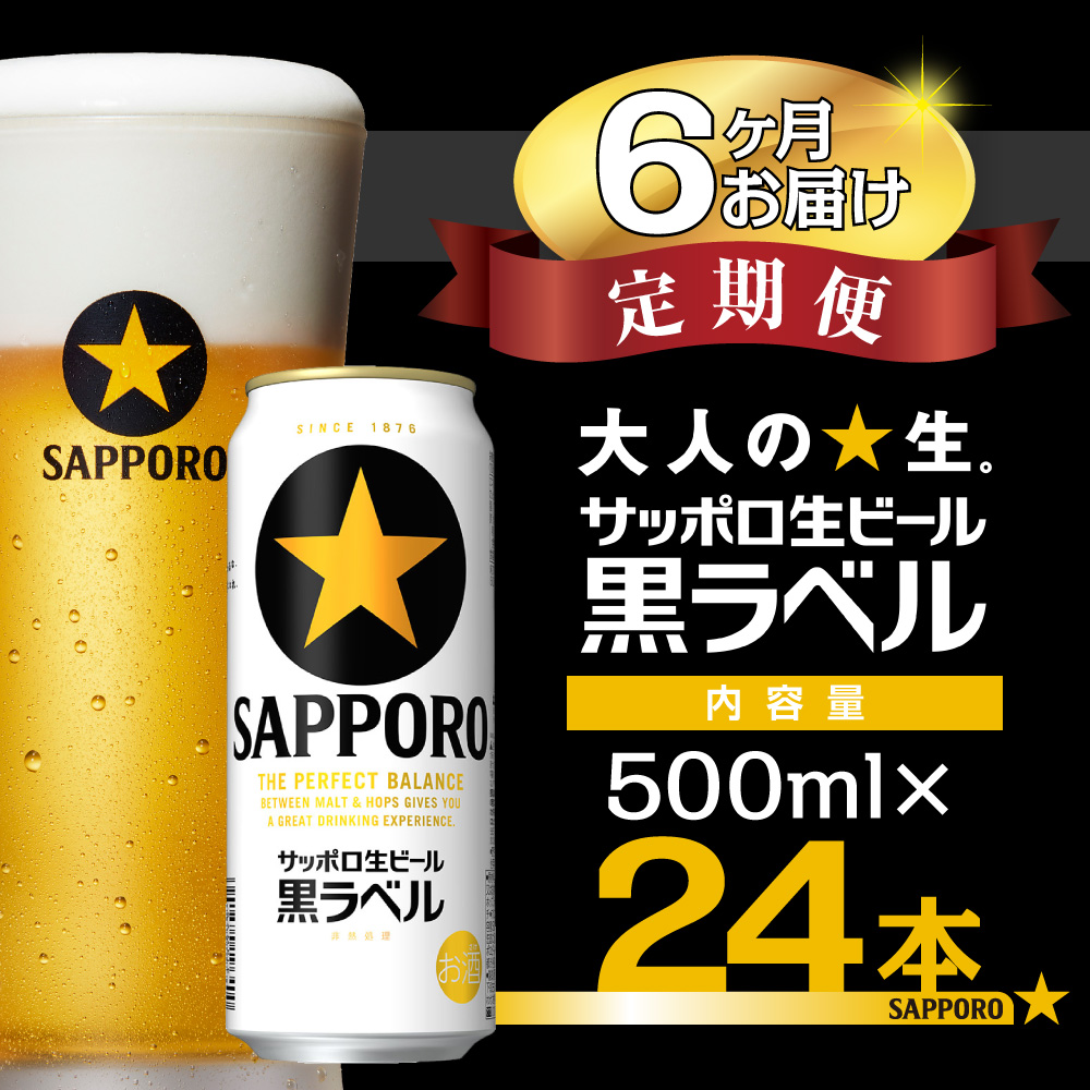 【6か月定期便】サッポロ ビール 黒ラベル 生ビール 500ml×24本 千葉県 船橋市 缶ビール お酒 6か月定期便