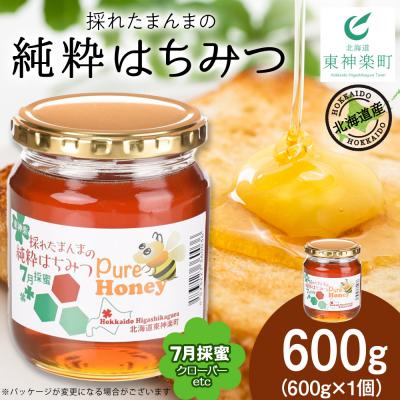 ふるさと納税 東神楽町 東神楽産採れたまんまの純粋はちみつ 600g1個【7月採蜜】